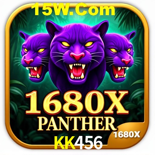 Interface Premium KK456